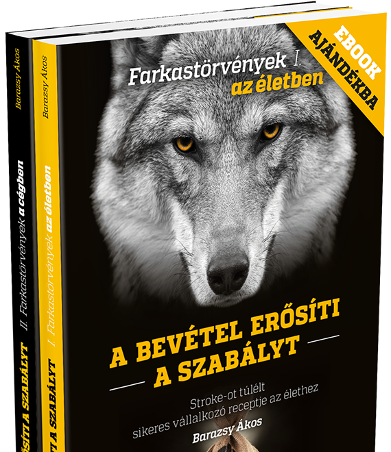 barazsy-akos-a-bevetel-erositi-a-szabalyt